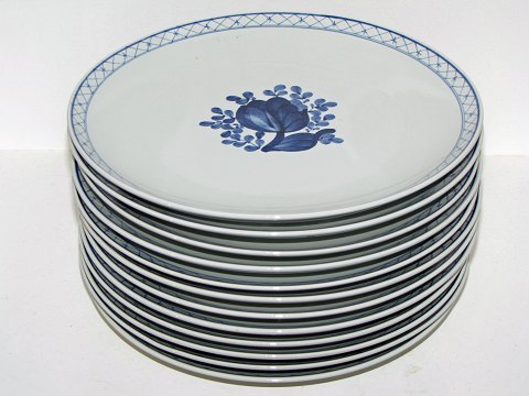 item no: 232053