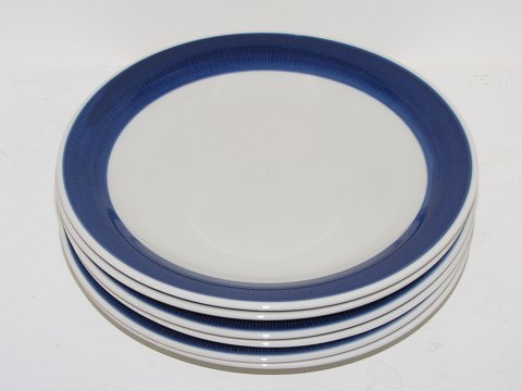 item no: 253916