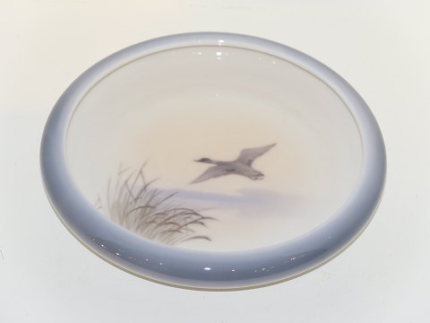 item no: 260062