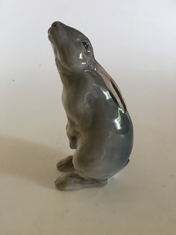 Royal Copenhagen Figurine Begging Rabbit No 504.