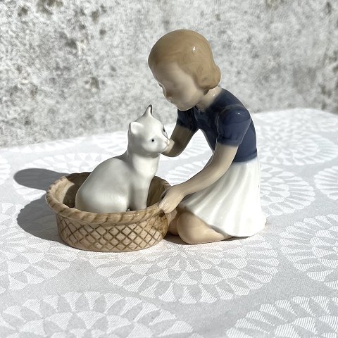 item no: 511593