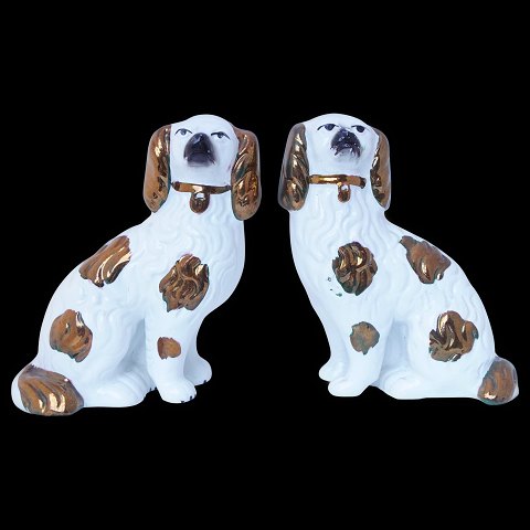 Engelske staffordshire hunde, midt 1800-tallet