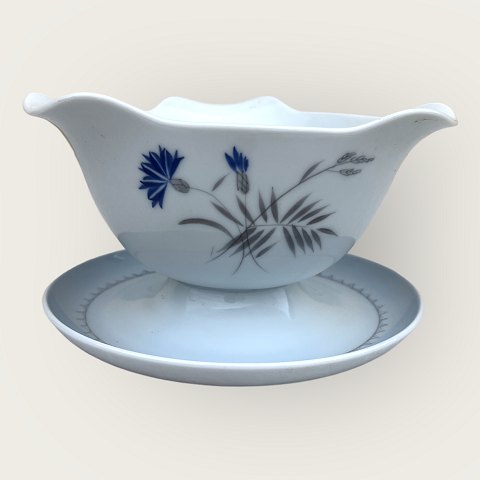 Bestellnummer: 554685