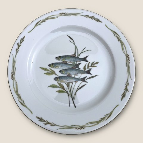 item no: 583508
