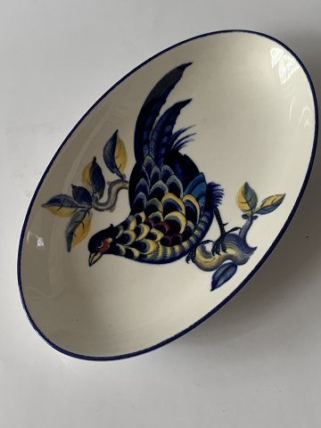 Bl Fasen (  Blue Pheasant ...