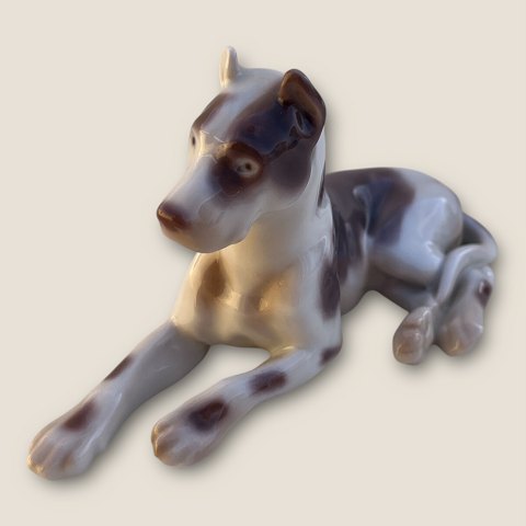 item no: 599262