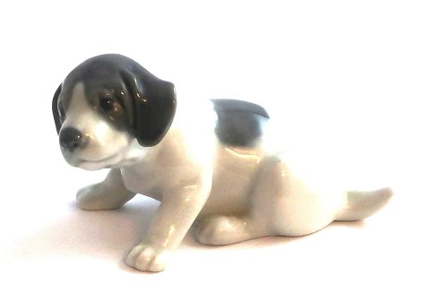 Royal Copenhagen. Porcelænsfigur. Pointerhvalp. Model 1311. Længde 10 cm. ( 1 
sortering )
