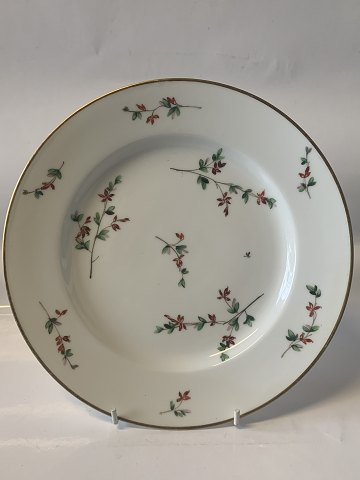 item no: 605754
