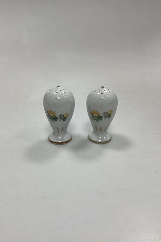Bing and Grondahl Eranthis Salt and Pepper Shaker No. 52 A/B