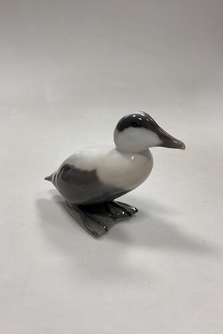 Royal Copenhagen Figurine of Eider Duck No. 1071