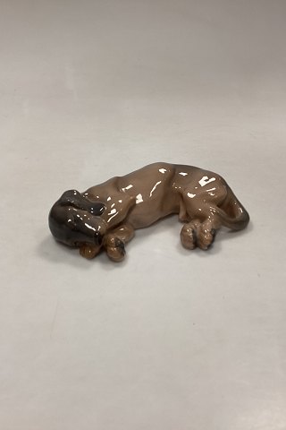 Royal Copenhagen Figurine - Dachshund asleep No. 1238/781