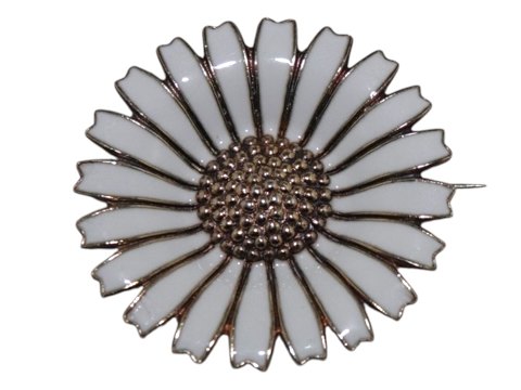 Marguerit<br>Daisy