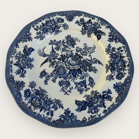 Enoch Wedgwood: Diverse ...