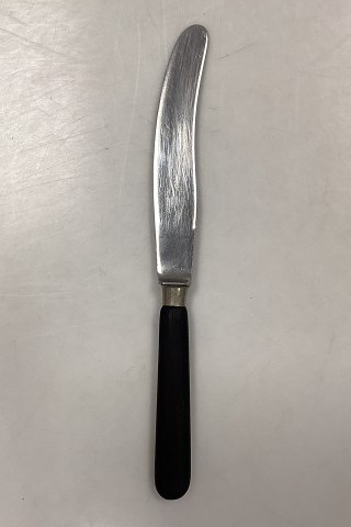 Raadvad Stainless Dining Knife - 25,4 cm