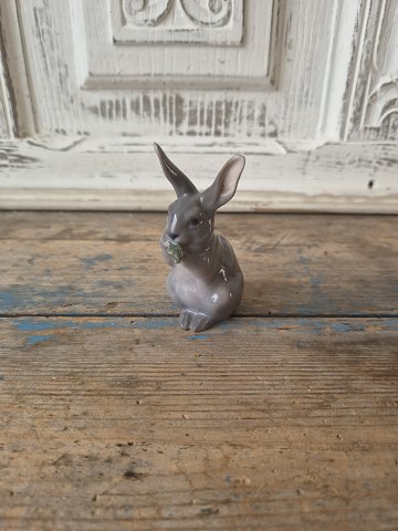 Royal Copenhagen figur - kanin no. 1019