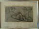 emne nr:
237799