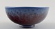 item no:
240626 item no:
240626