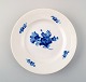item no:
244403 item no:
244403