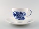 item no:
244419 item no:
244419