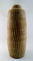 item no:
247069 item no:
247069