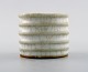 item no:
275936 item no:
275936