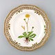 item no:
295538 item no:
295538