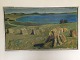emne nr:
296594