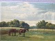 emne nr:
307923