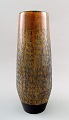 item no:
317783 item no:
317783