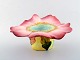item no:
321909 item no:
321909