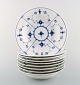 item no:
324464 item no:
324464