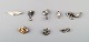 item no:
335621 item no:
335621