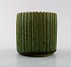 item no:
335683 item no:
335683