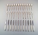 item no:
339807 item no:
339807