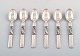 item no:
340036 item no:
340036