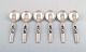 item no:
340037 item no:
340037
