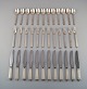 item no:
340774 item no:
340774