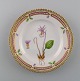 item no:
340856 item no:
340856
