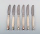item no:
341037 item no:
341037