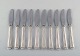item no:
343278 item no:
343278