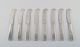 item no:
346510 item no:
346510