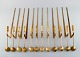 item no:
346512 item no:
346512