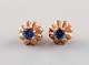 item no:
351713 item no:
351713
