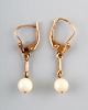item no:
351720 item no:
351720