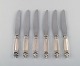 item no:
352647 item no:
352647