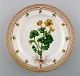 item no:
356901 item no:
356901