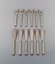 item no:
361570 item no:
361570