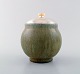 item no:
364139 item no:
364139