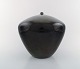 item no:
369731 item no:
369731