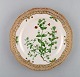 item no:
369739 item no:
369739